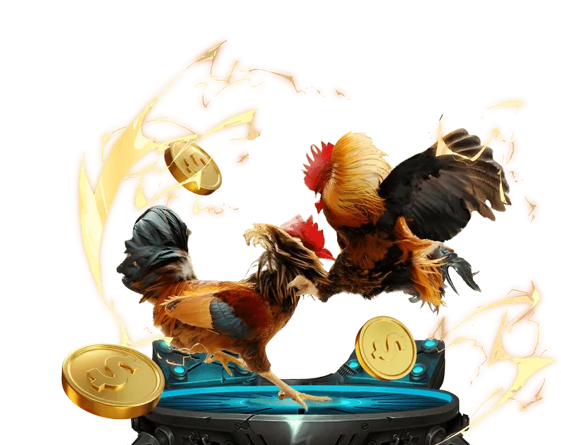 Lịch sử và văn hóa đá gà